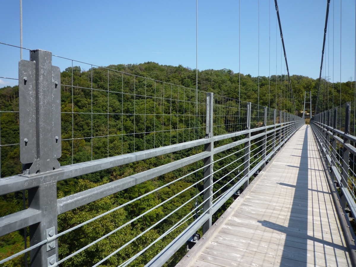 吊橋（島根県）（2013年）