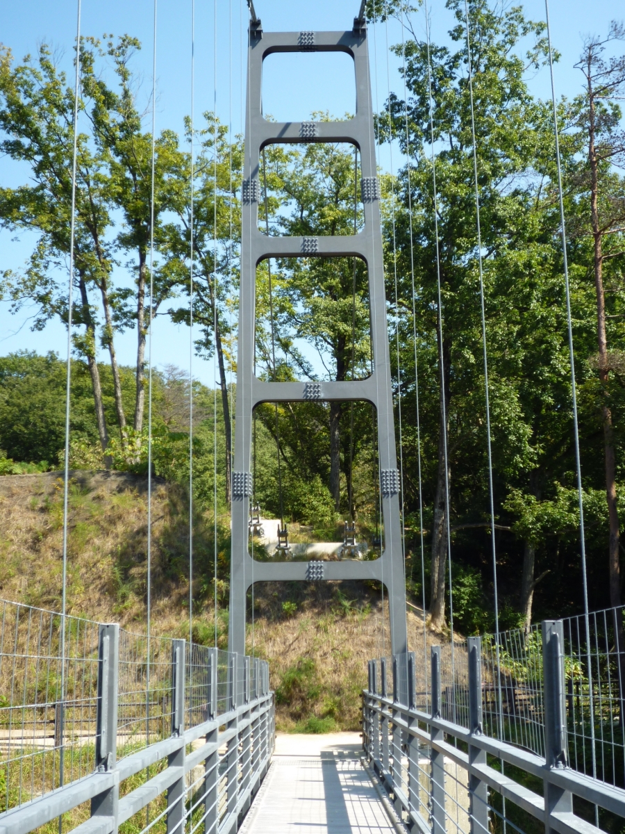 吊橋（島根県）（2013年）