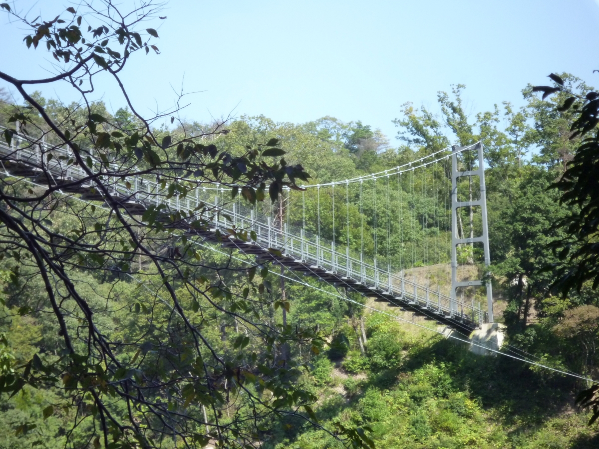 吊橋（島根県）（2013年）